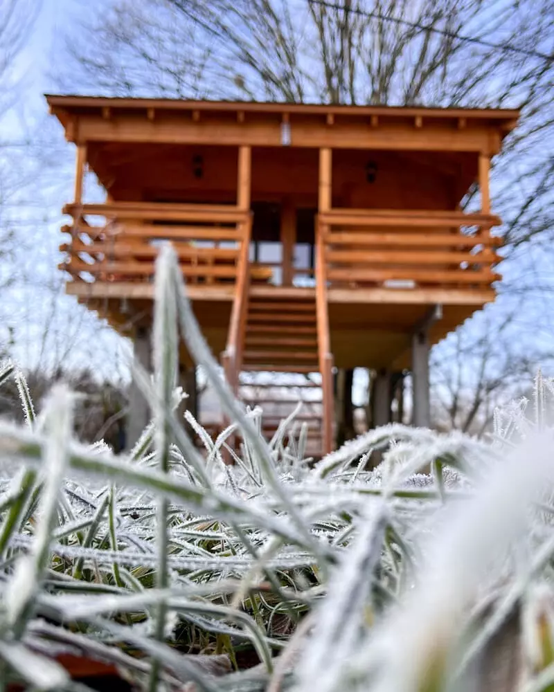 Căsuțe în Copac & Case A frame — fotografia 6