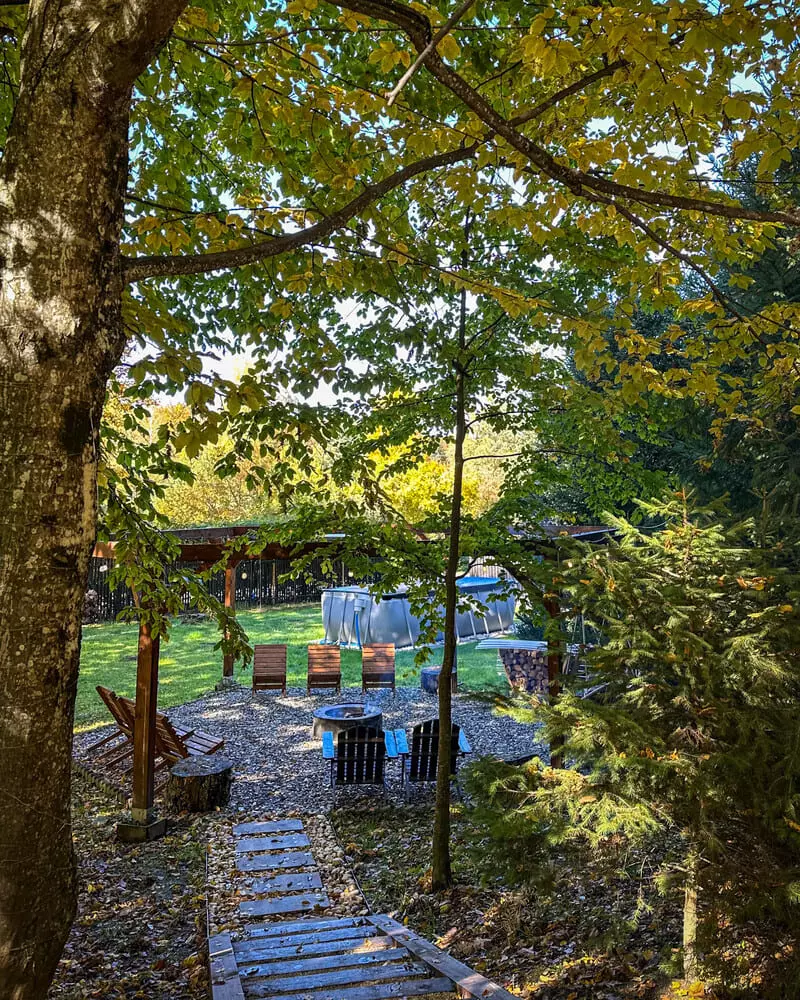 Teodor Chalet — fotografia 6