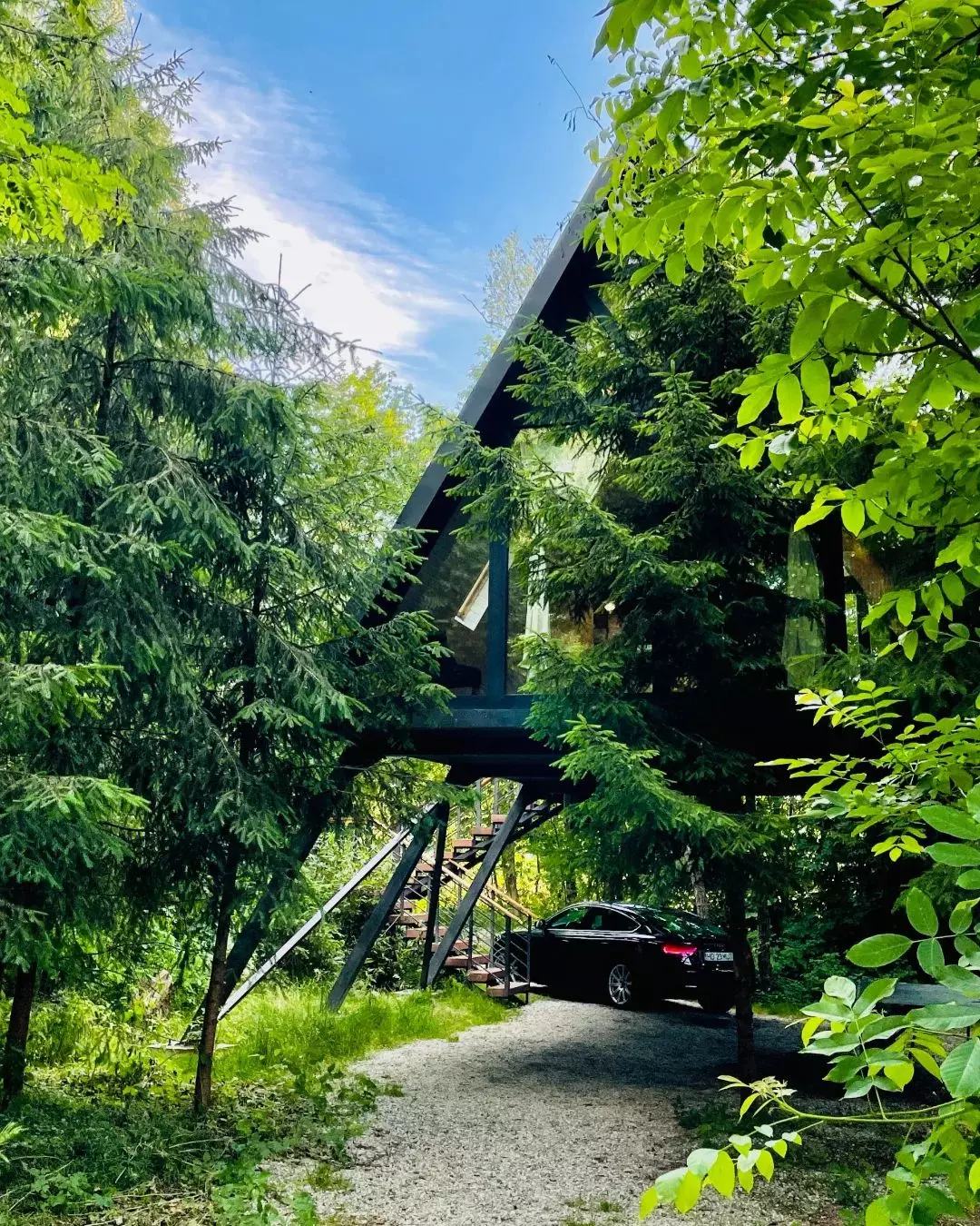 Porumbacu Treehouse — fotografia 6