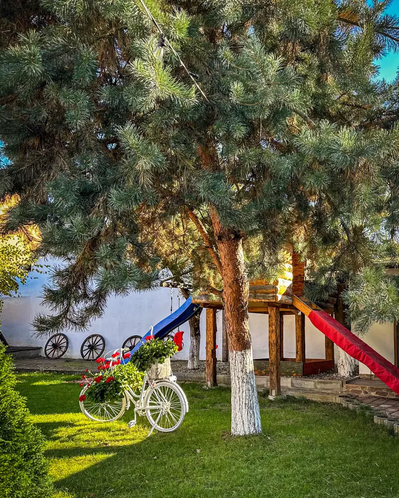 Casa Ovidiu — fotografia 6
