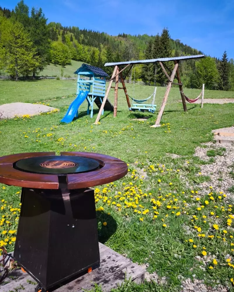 CĂSUȚA DE LA MUNTE — fotografia 6