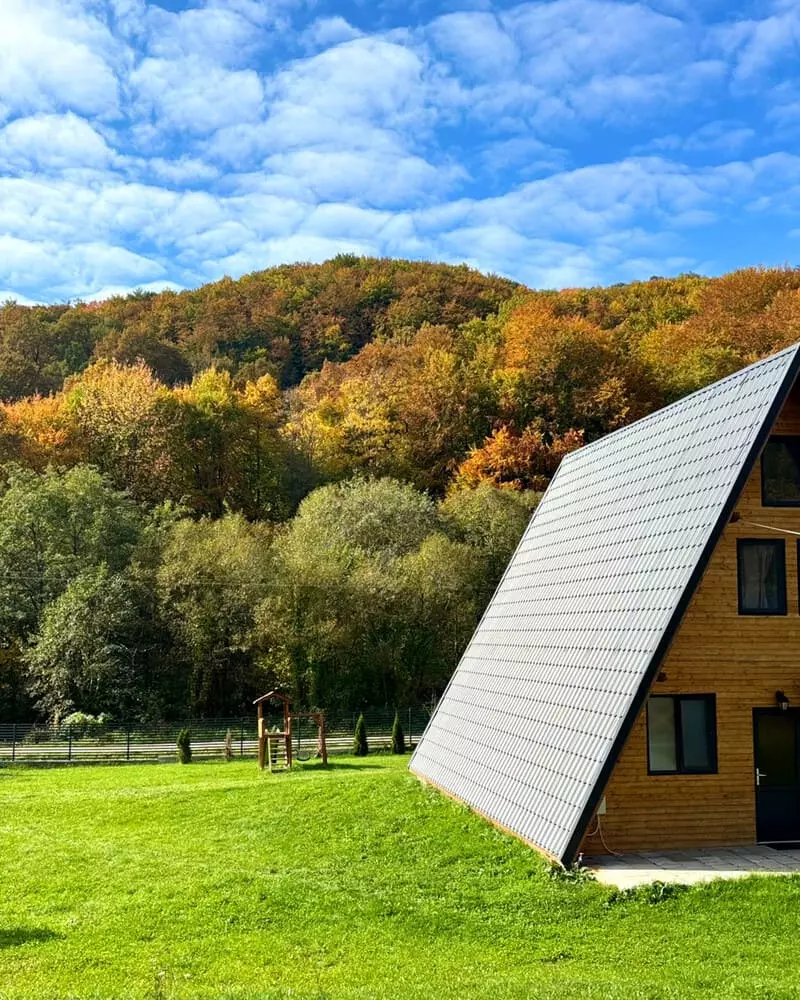 Lion Cabin — fotografia 6